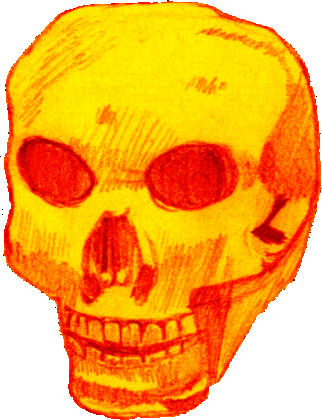 Mexican Skull